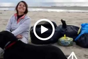 Scopri di più sull'articolo La eco-prof che gira l’Europa insieme alla sua Labrador per pulire spiagge e mari dai rifiuti