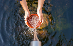Scopri di più sull'articolo Giornata mondiale dell’acqua, come ridurre lo spreco in casa