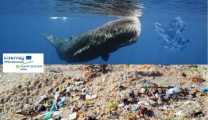 Scopri di più sull'articolo Plastic Busters: le Aree marine protette al centro della lotta contro l’inquinamento da plastica