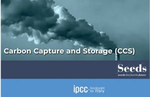 Scopri di più sull'articolo Rapporto IPCC: fa discutere la carbon capture and storage