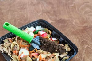 Scopri di più sull'articolo Getti la plastica biodegradabile nel bidone del compost? Ecco perché stai sbagliando