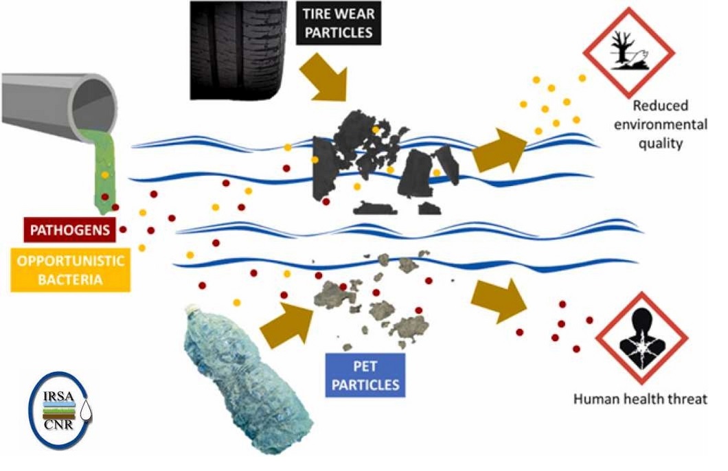 Scopri di più sull'articolo Ambiente e salute: le microplastiche non sono tutte uguali