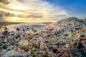 Scopri di più sull'articolo Riciclare la plastica non basta più, bisogna eliminarla gradualmente per ridurre l’inquinamento nei mari