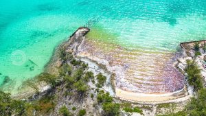 Scopri di più sull'articolo Marea nera alle Bahamas nell’isola dei maiali nuotatori