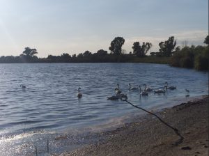 Scopri di più sull'articolo Goletta dei Laghi: bene l’Abruzzo. Ma nei laghi pontini inquinati 3 punti dei 6 campionati