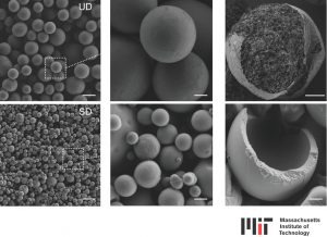 Scopri di più sull'articolo La seta può sostituire la microplastica aggiunta a prodotti agricoli, vernici e cosmetici