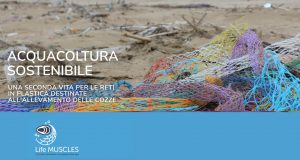 Scopri di più sull'articolo Life Muscle a bordo di Goletta Verde. Due aree pilota a La Spezia e nel Gargano