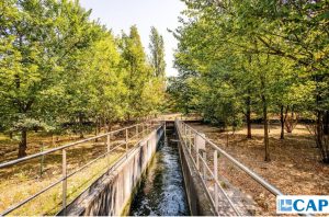 Scopri di più sull'articolo Siccità: l’acqua dei depuratori per innaffiare il Parco Nord di Milano