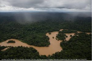 Scopri di più sull'articolo Brasile: le miniere avvelenano i pesci nei fiumi del Roraima