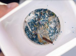 Scopri di più sull'articolo Da dove arrivano le microplastiche che mangiamo, senza accorgercene