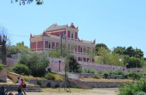 Scopri di più sull'articolo La Casa dell’Agronomo, la Foca monaca e il Plasticene