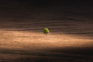 Scopri di più sull'articolo Slow Food: «Il sistema alimentare dominante è una follia»