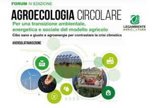 Scopri di più sull'articolo Forum nazionale agroecologia circolare: al centro agroenergie e sovranità alimentare sostenibile