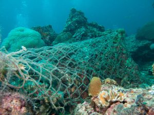 Scopri di più sull'articolo Una rete fantasma di 300 metri è stata ripescata nel Mar Ligure: inquinava e soffocava la biodiversità del fondale