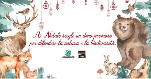 Scopri di più sull'articolo Il Natale ecosostenibile di Legambiente. 10 consigli per un Natale green, fai da te e pre-loved