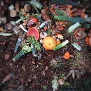 Scopri di più sull'articolo I compostatori italiani chiedono risorse Pac per finanziare il riciclo dei rifiuti organici