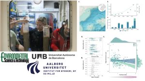 Scopri di più sull'articolo In 20 anni triplicate le microplastiche depositate sui fondali marini del Mediterraneo occidentale