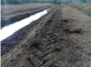 Scopri di più sull'articolo Sammuri: «Continua l’impegno del Parco Nazionale per la riqualificazione della zona umida di Mola»