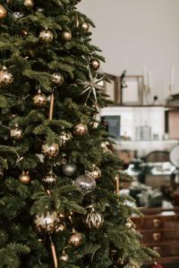 Scopri di più sull'articolo Cosa fare degli alberi di Natale? Al via dal 7 gennaio i ritiri presso gli ecocentri Alia