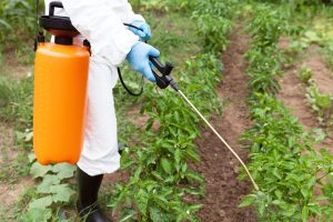 Scopri di più sull'articolo La Francia contro il glifosato: il governo aiuterà gli agricoltori che non utilizzano l’erbicida anche nel 2023