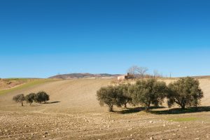 Scopri di più sull'articolo Turismo lento, la Puglia investe sui cammini per valorizzare i viaggi dolci e sostenibili
