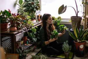 Scopri di più sull'articolo I vasi auto-irriganti, alleati del pollice verde: come gestire tante piante d’appartamento con poco sforzo