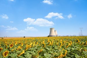 Scopri di più sull'articolo Per l’UE nucleare e gas sono fonti sostenibili: così WWF, Legambiente e altre ONG lanciano una “contro-tassonomia” basata solo sulla scienza