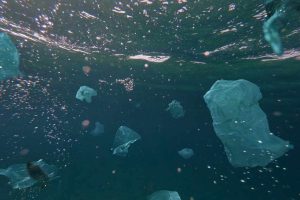 Scopri di più sull'articolo Risolto il mistero dei rifiuti di plastica in mare: vengono usati dai batteri come fonte di cibo (ma non è una buona notizia come sembra)