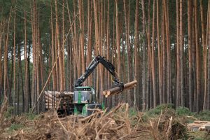 Scopri di più sull'articolo L’inerzia delle aziende e delle istituzioni finanziarie sulla deforestazione ci allontana dagli obiettivi climatici