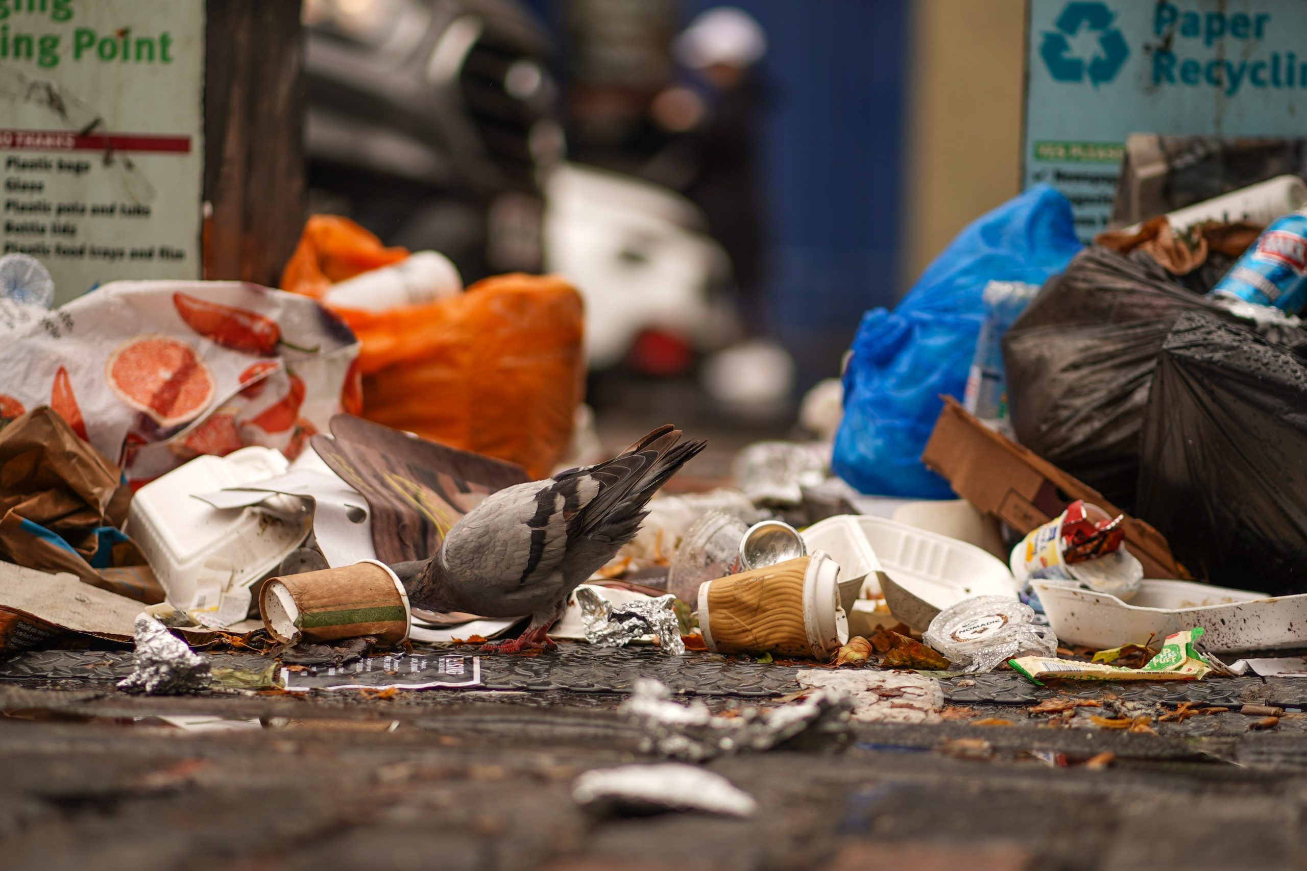 Scopri di più sull'articolo La legge Gadda e l’ambizione di contrastare lo spreco alimentare in Italia