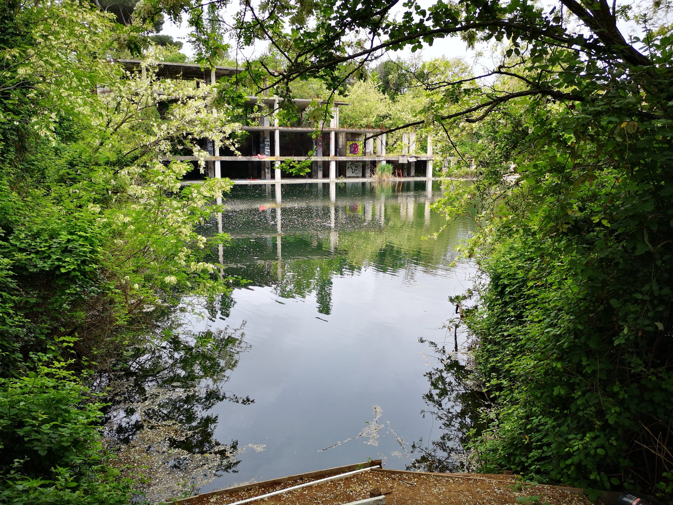 Scopri di più sull'articolo Un lago naturale a Roma rischia di scomparire, è corsa contro il tempo prima delle elezioni regionali