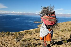 Scopri di più sull'articolo In Bolivia, gli “accordi idrici reciproci” stanno aiutando a proteggere milioni di ettari di foresta