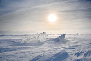 Scopri di più sull'articolo Un antico ecosistema all’interno di un ghiacciaio: la scoperta italiana in Antartide