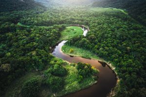 Scopri di più sull'articolo La Foresta atlantica del Brasile ricomincia a crescere grazie alle popolazioni indigene