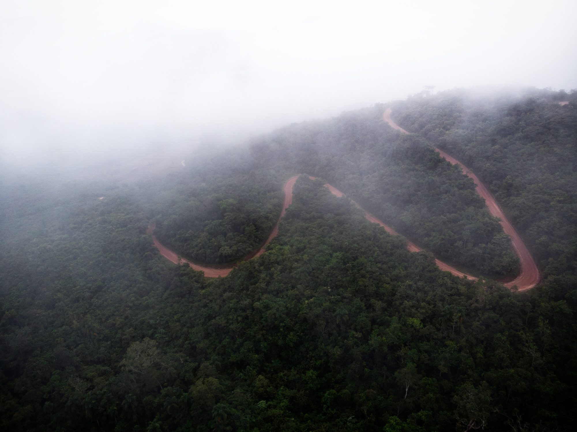 Scopri di più sull'articolo Una nuova riserva in Ecuador salverà migliaia di chilometri quadrati di foresta