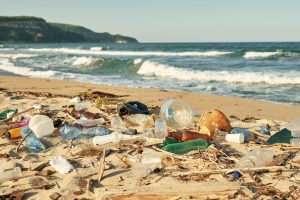 Scopri di più sull'articolo Inquinamento marino: la plastica rappresenta l’80% dei rifiuti che si trovano nel Mediterraneo