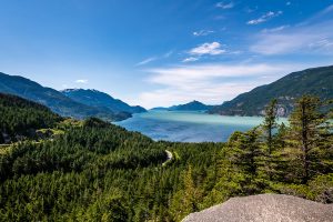 Scopri di più sull'articolo “Great Bear Sea”, la nuova area marina protetta che nascerà in Canada