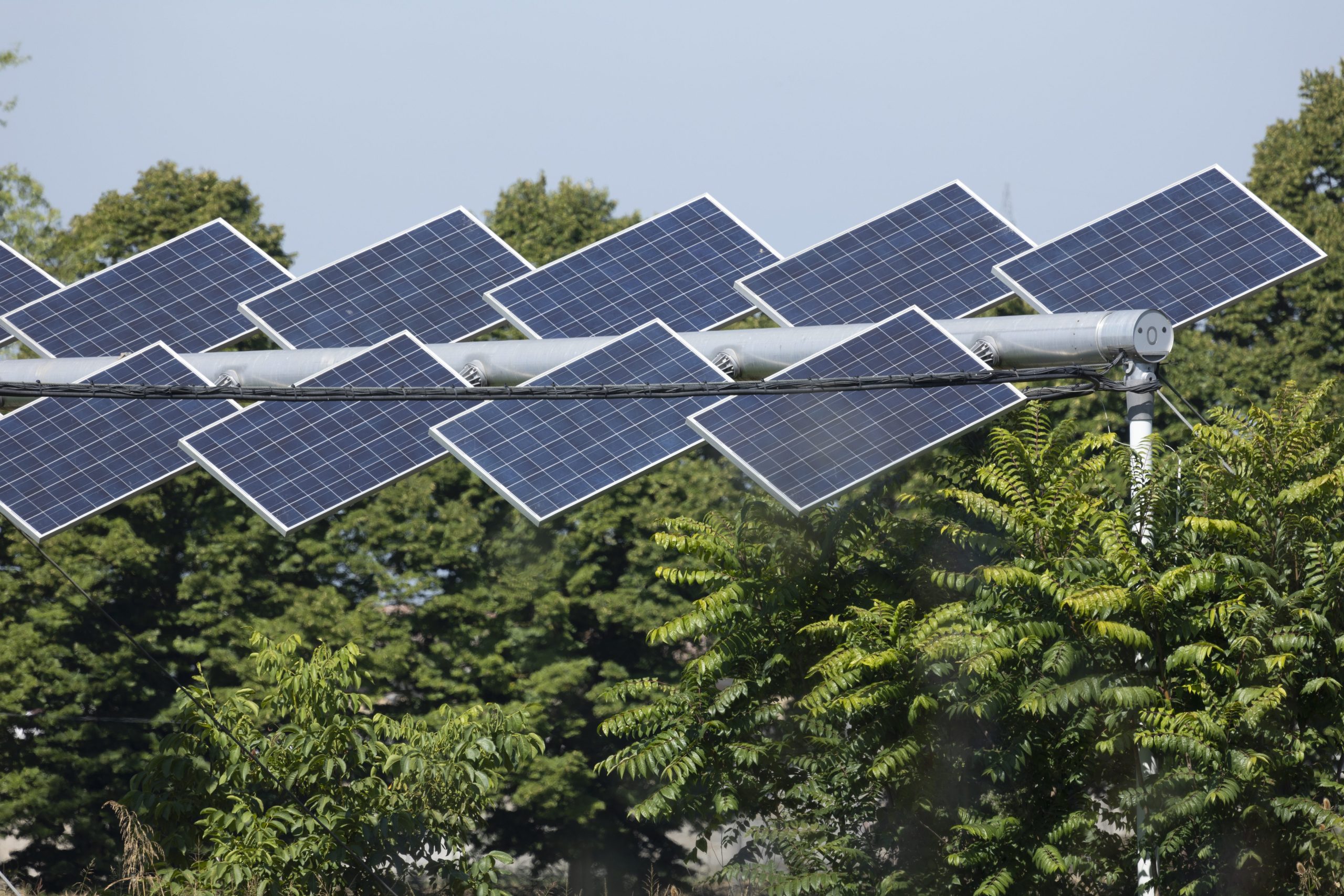 Scopri di più sull'articolo Energia e mele, decolla il progetto di agrivoltaico in Alto Adige: ecco come funziona