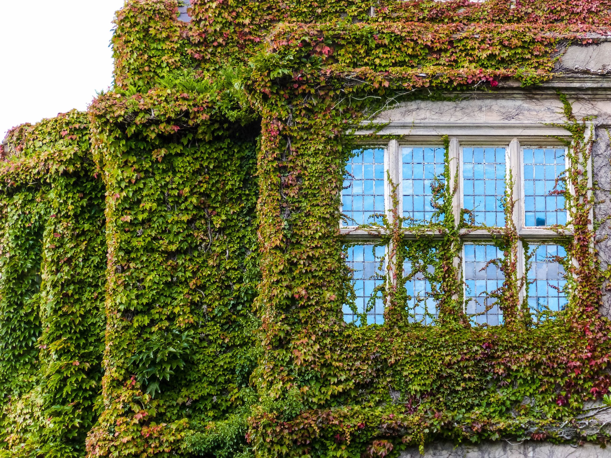Scopri di più sull'articolo Case Green ‘la macchina Europa’ è favorevole, approvato il testo in Commissione Industria e adesso?