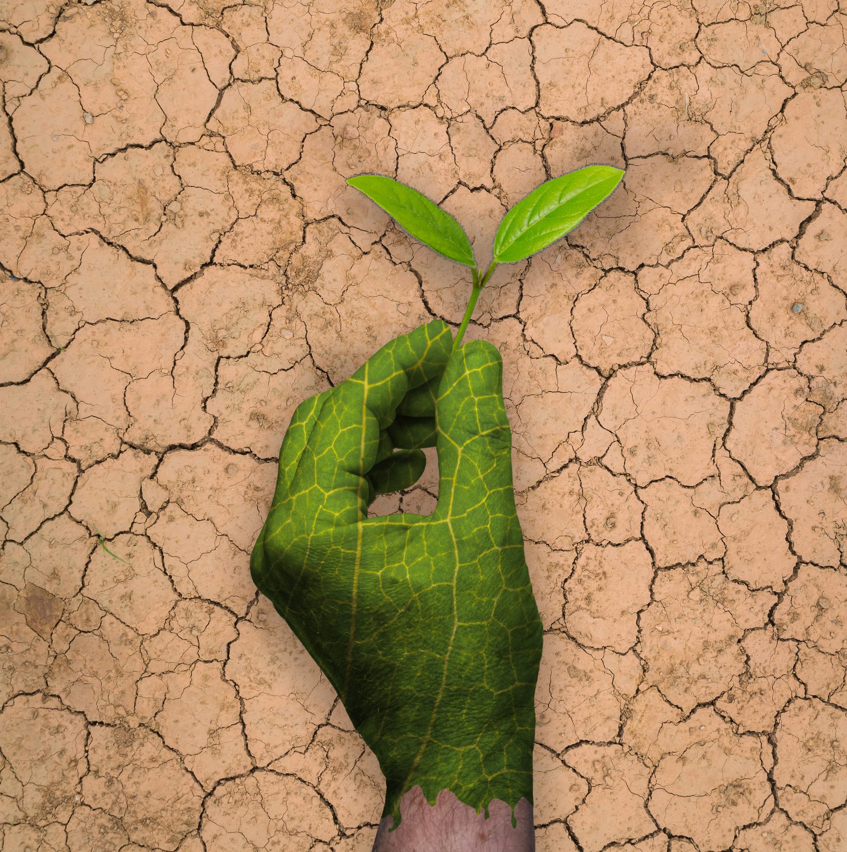 Scopri di più sull'articolo Il greenwashing che stai pagando tu: come l’ambientalismo di facciata incide (anche) sulle tue tasche