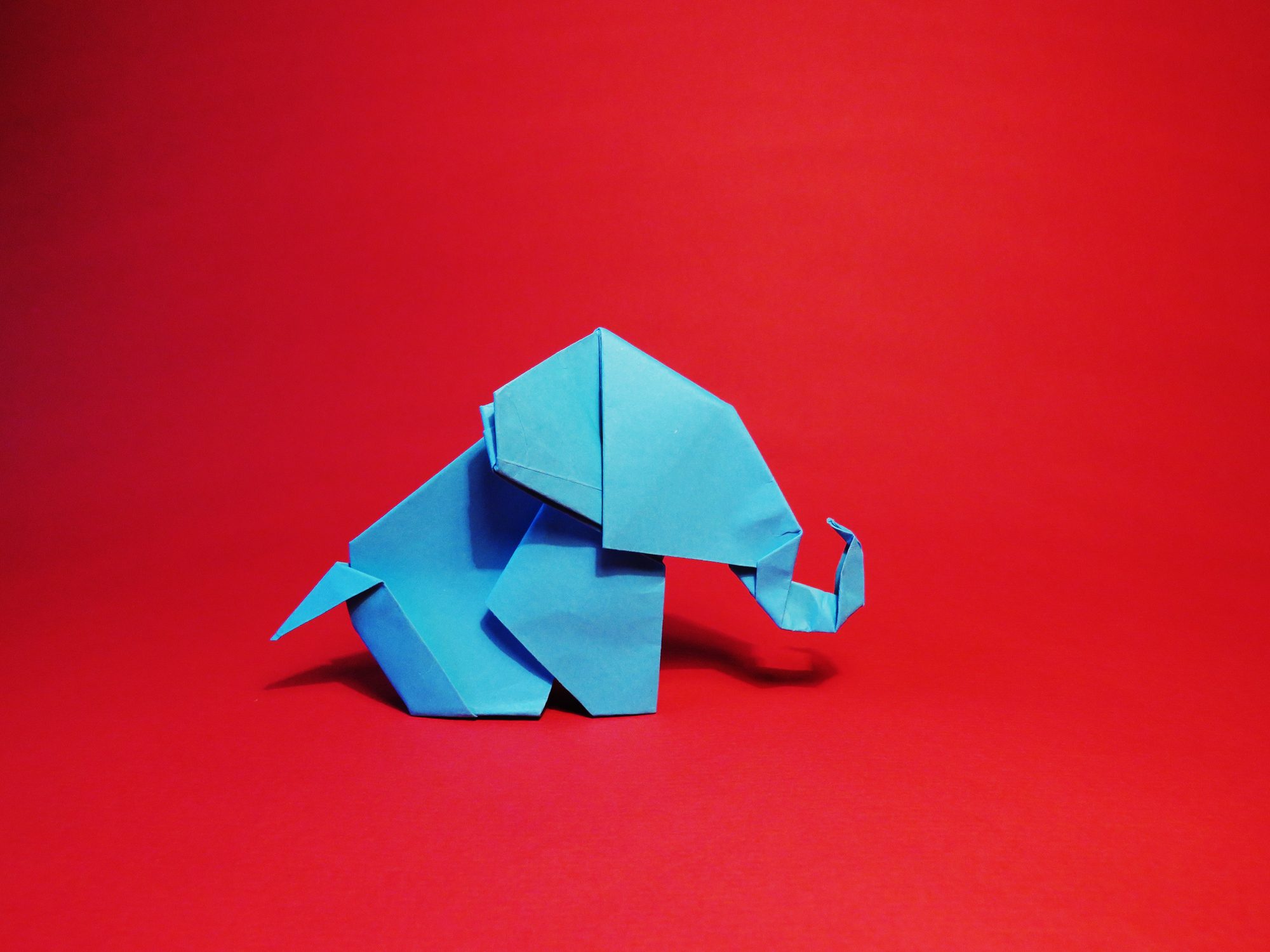 Scopri di più sull'articolo Complicato, ma bellissimo: vuoi imparare a realizzare un elefante origami?