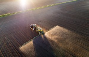 Scopri di più sull'articolo Scarti di cereali e legumi per bonificare i terreni agricoli inquinati: il progetto “Ricrea”