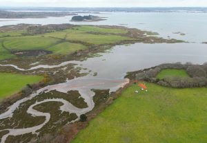 Scopri di più sull'articolo “Poole harbour”: il più grande disastro ambientale che ha causato una perdita di petrolio