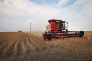 Scopri di più sull'articolo Arriva una nuova politica agricola europea, le colture coperte diventano fondamentali per la fertilità del suolo