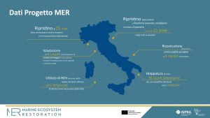 Scopri di più sull'articolo Progetto PNRR Mer di Ispra e Mase per ricostruire gli ecosistemi marini italiani (VIDEO)