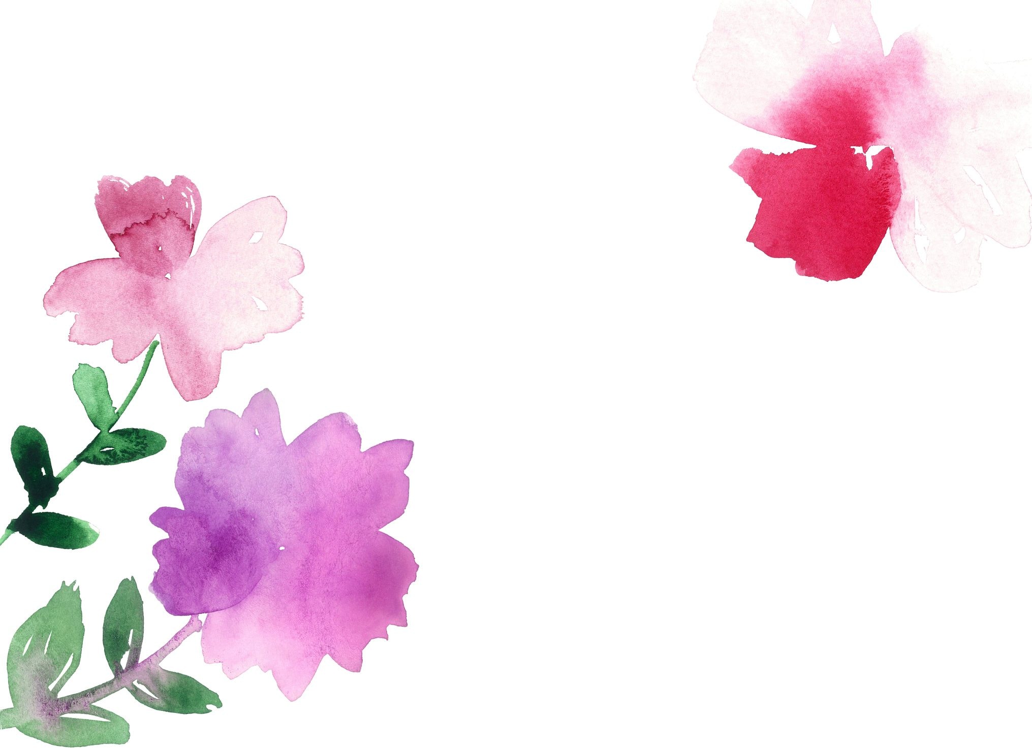 Scopri di più sull'articolo Come dipingere una maglietta con i fiori di campo: economico e creativo!