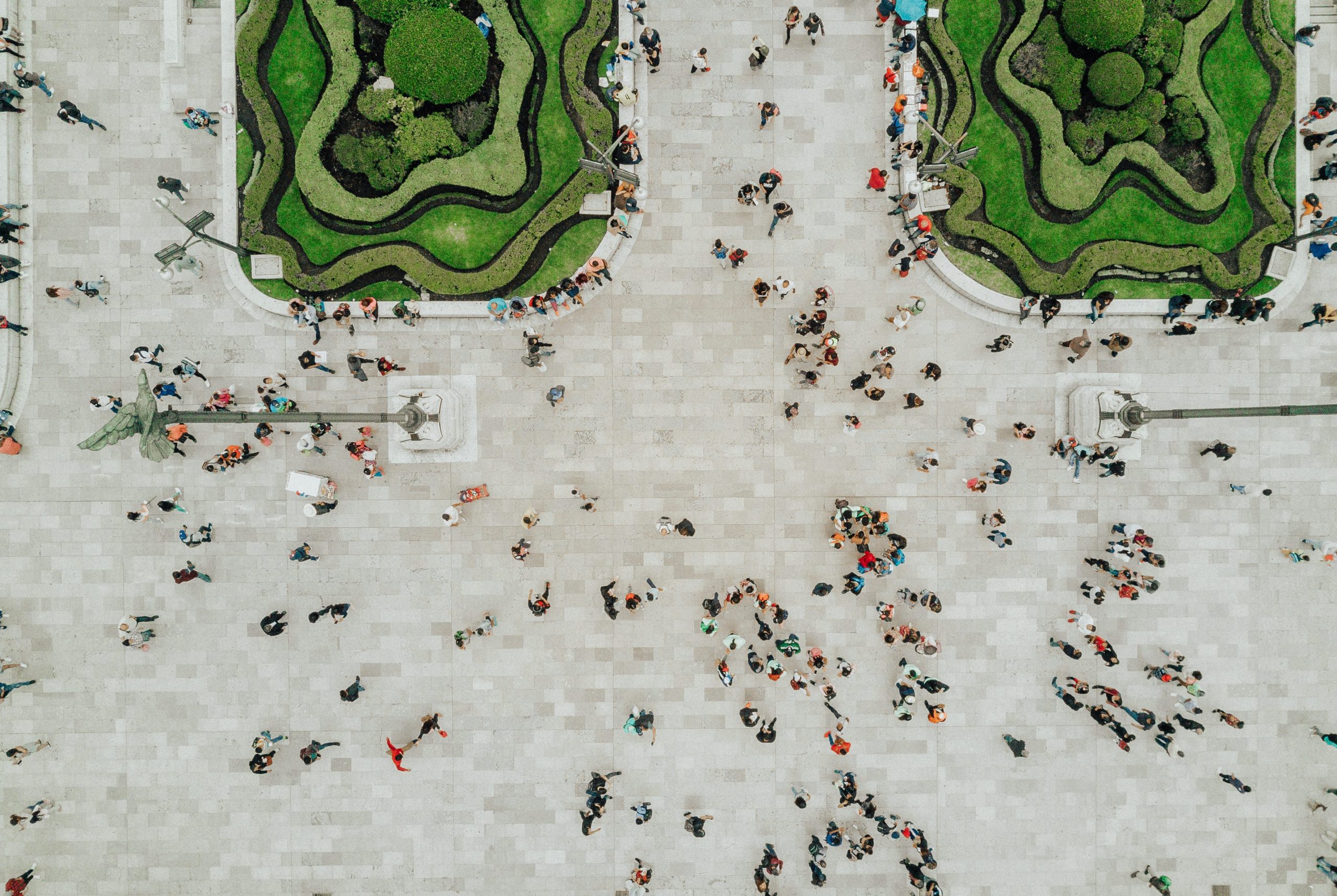 Scopri di più sull'articolo Forestami: “La forestazione urbana è anche un cambiamento culturale. Stiamo partendo dalla scuola”