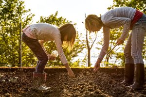 Scopri di più sull'articolo Giardinaggio in marzo: ecco cosa seminare all’inizio della primavera