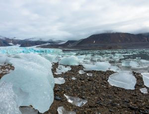 Scopri di più sull'articolo Acqua più calda e neve che si scioglie: così la perdita dei ghiacci in Antartide d’estate va più veloce del 22%