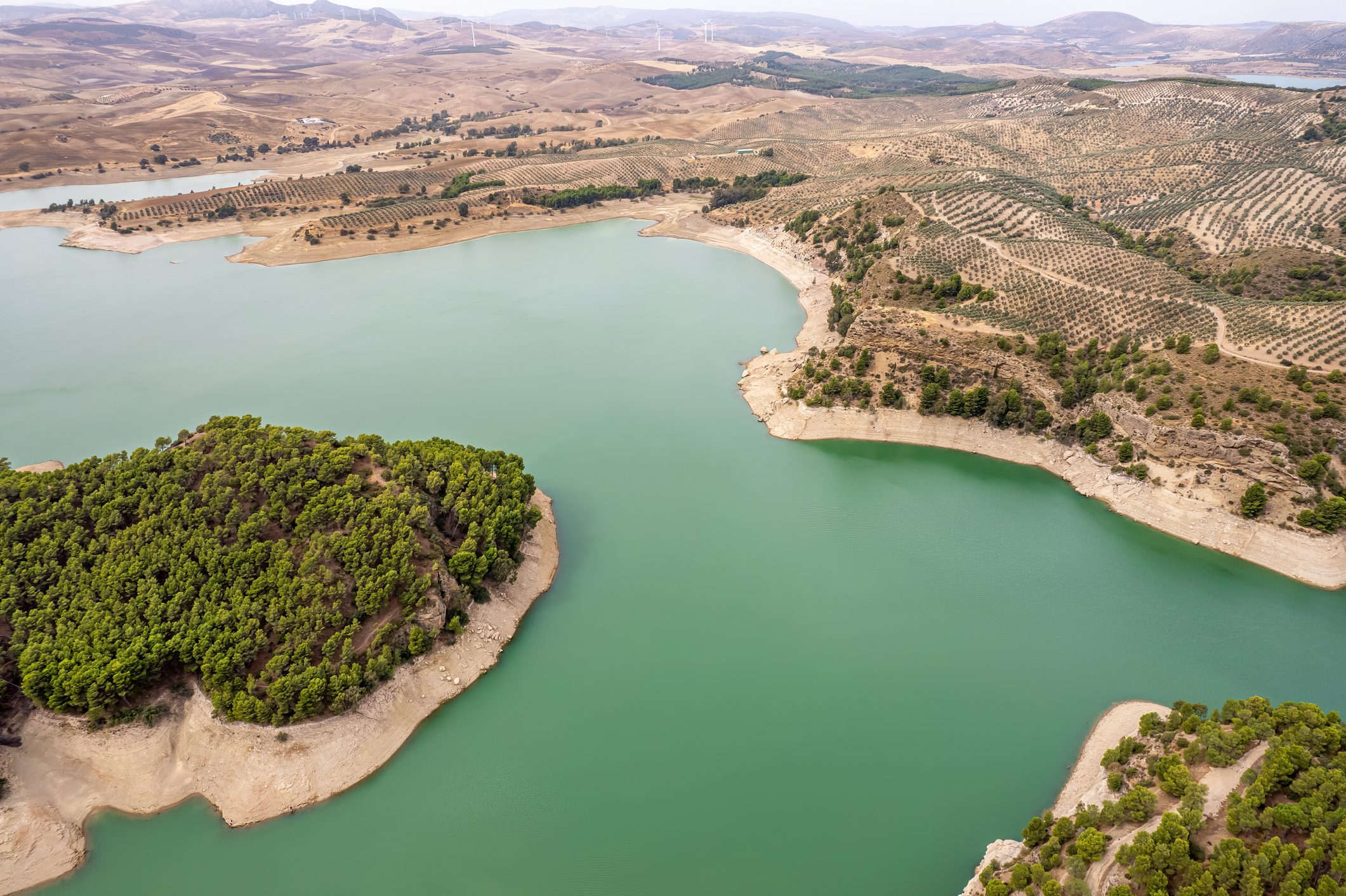 Scopri di più sull'articolo Anche il Mar Mediterraneo è un hotspot climatico. Ma cosa significa?